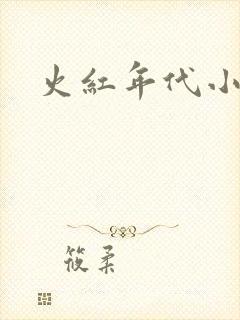 火红年代小说