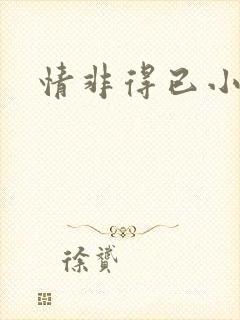 情非得已小说