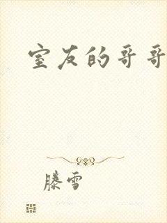 室友的哥哥