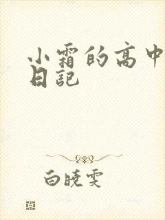 小霜的高中成长日记