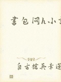 书包网h小说