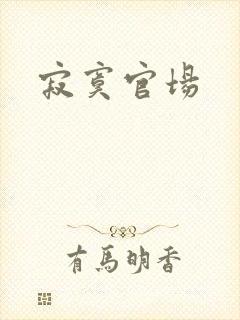 寂寞官场