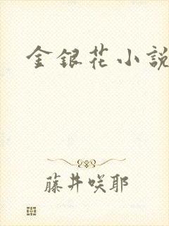 金银花小说乐可封面
