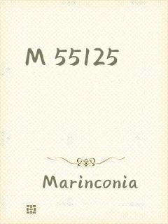 M 55125