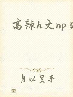 高辣h文np爽封面