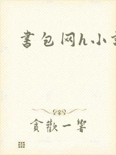 书包网h小说
