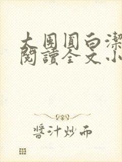 大团圆白洁免费阅读全文小说封面