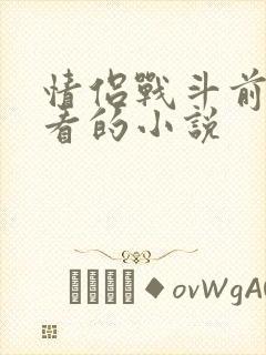 情侣战斗前适合看的小说