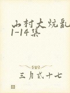 山村大炕乱肉续1-14集封面