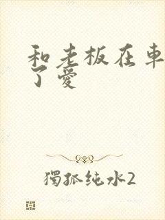 和老板在车里做了爱