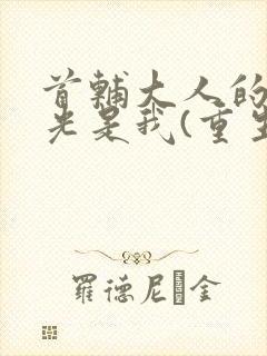 首辅大人的白月光是我(重生)