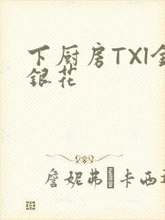 下厨房TXl金银花