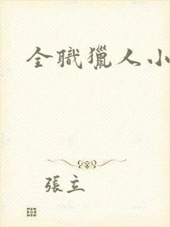 全职猎人小说