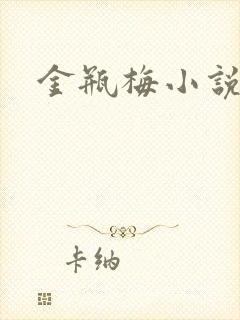 金瓶梅小说