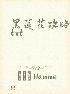 黑莲花攻略手册txt