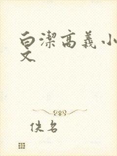 白洁高义小说全文