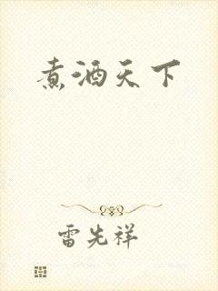 煮酒天下封面