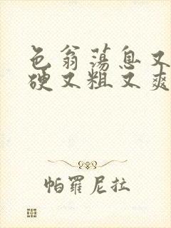 色翁荡息又大又硬又粗又爽