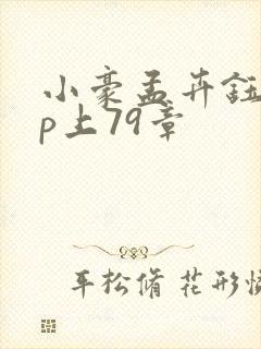 小豪孟卉钰慧三p上79章