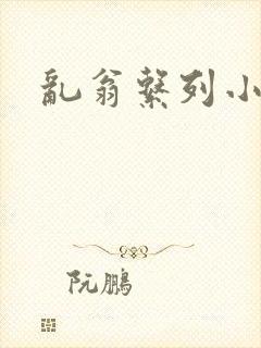 乱翁系列小说