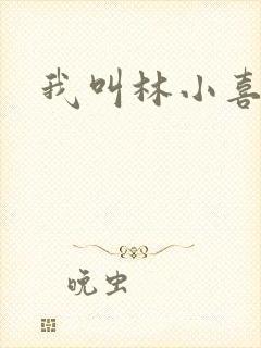 我叫林小喜17