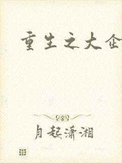 重生之大企业家封面