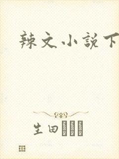 辣文小说下载