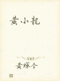 黄小龙封面