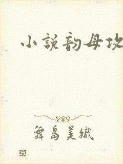 小说韵母攻略