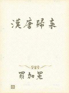 汉唐归来封面