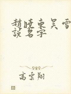 赵晓东吴雪晴小说名字