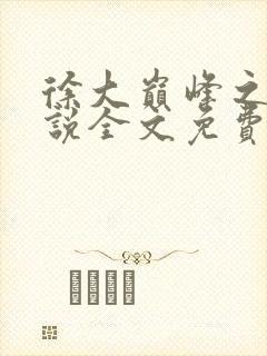 徐大巅峰之路小说全文免费阅读封面