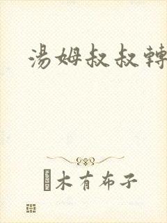 汤姆叔叔转接口
