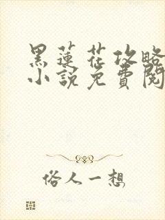 黑莲花攻略手册小说免费阅读全文