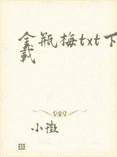 金瓶梅txt下载