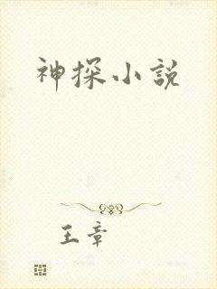 神探小说封面