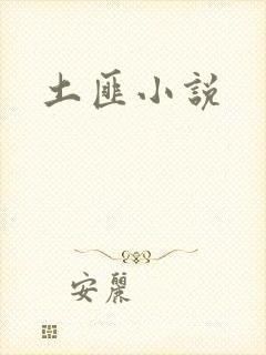 土匪小说