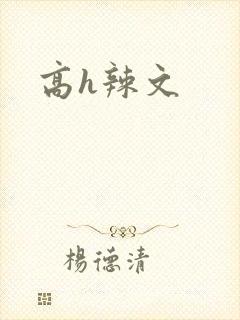 高h辣文封面