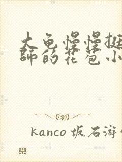 大龟慢慢挺进老师的花苞小说