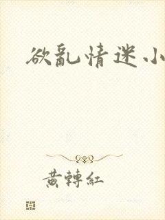 欲乱情迷小说封面