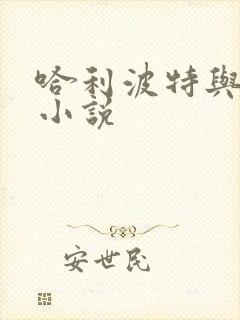 哈利波特与密室小说