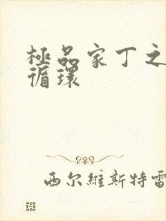极品家丁之因果循环