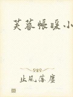 芙蓉帐暖小说封面
