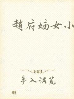 赵府嫡女小说