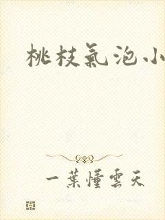 桃枝气泡小说