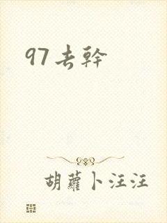 97去干封面