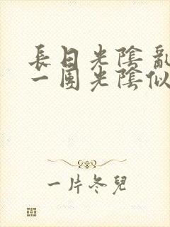 长日光阴 乱作一团光阴似箭封面