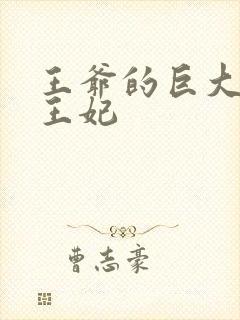 王爷的巨大进入王妃封面