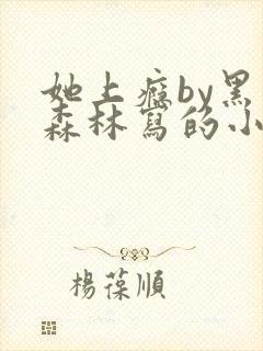 她上瘾by黑暗森林写的小说免费阅读无弹窗