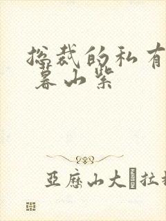 总裁的私有宝贝 暮山紫封面